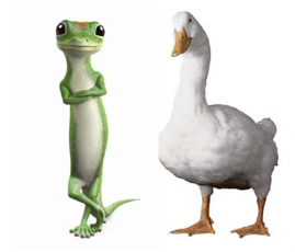 Screen_shot_2013-02-27_at_9.39.03_AM_0