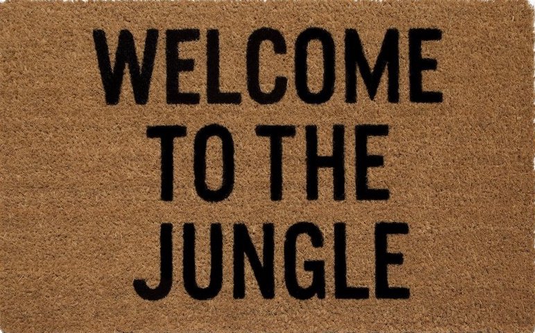 Welcome to the Jungle