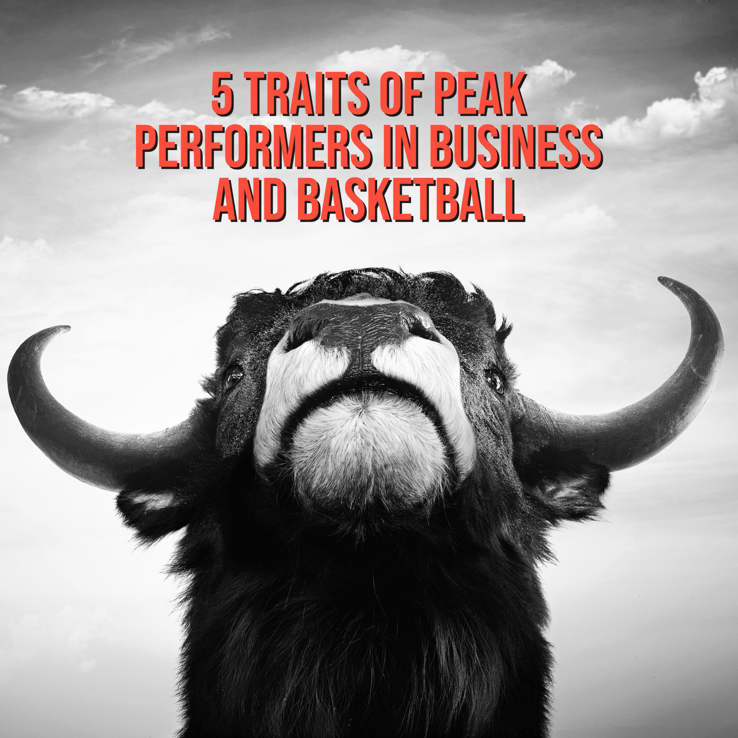 best marketing company in pittsburgh